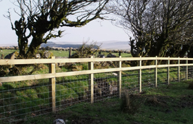 Stock proof fencing for all types of livestock